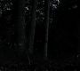 Filename=103TeenWolf1504.jpg
Filesize=71KiB
Dimensions=1280x720
Date added=Jul 05, 2011 103TeenWolf1504.jpg