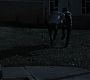 Filename=106TeenWolf1442.jpg
Filesize=81KiB
Dimensions=1280x720
Date added=Aug 06, 2011 106TeenWolf1442.jpg