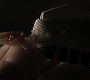 Filename=108TeenWolf1482.jpg
Filesize=33KiB
Dimensions=1280x720
Date added=Aug 12, 2011 108TeenWolf1482.jpg