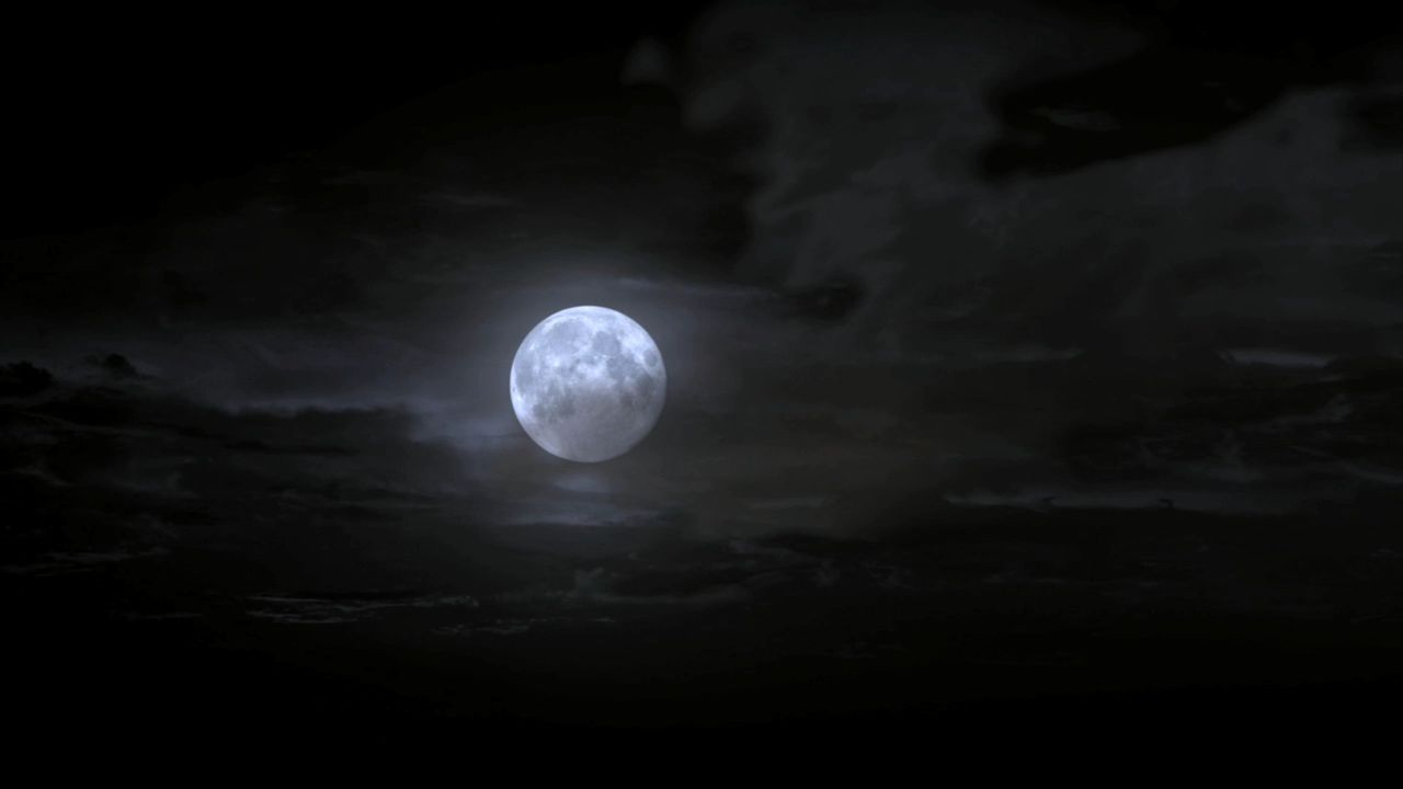 110TeenWolf0263.jpg