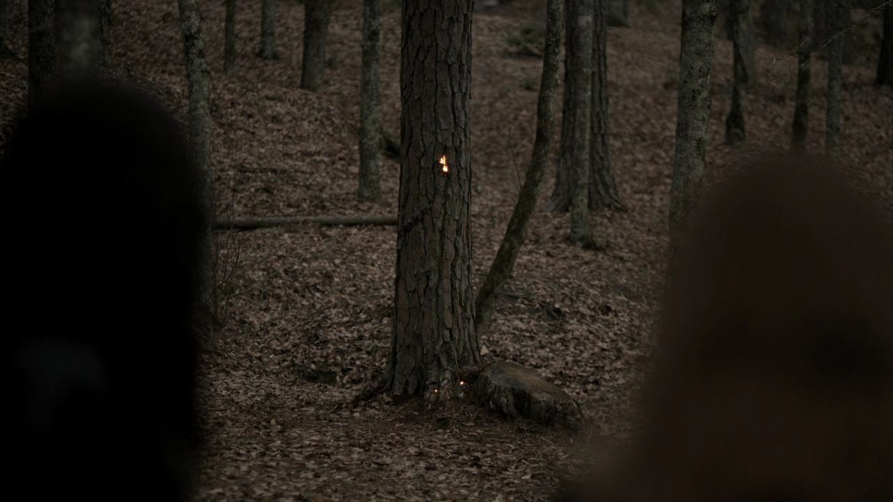 110TeenWolf0618.jpg
