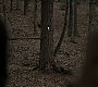 Filename=110TeenWolf0618.jpg
Filesize=100KiB
Dimensions=1280x720
Date added=Aug 17, 2011 110TeenWolf0618.jpg