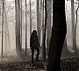 Filename=110TeenWolf0657.jpg
Filesize=133KiB
Dimensions=1280x720
Date added=Aug 17, 2011 110TeenWolf0657.jpg