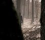 Filename=110TeenWolf0662.jpg
Filesize=66KiB
Dimensions=1280x720
Date added=Aug 17, 2011 110TeenWolf0662.jpg