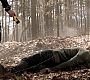 Filename=110TeenWolf0672.jpg
Filesize=162KiB
Dimensions=1280x720
Date added=Aug 17, 2011 110TeenWolf0672.jpg