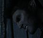 Filename=110TeenWolf1453.jpg
Filesize=49KiB
Dimensions=1280x720
Date added=Aug 17, 2011 110TeenWolf1453.jpg