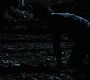 Filename=110TeenWolf1469.jpg
Filesize=54KiB
Dimensions=1280x720
Date added=Aug 17, 2011 110TeenWolf1469.jpg