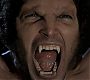 Filename=110TeenWolf1575.jpg
Filesize=58KiB
Dimensions=1280x720
Date added=Aug 17, 2011 110TeenWolf1575.jpg