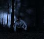 Filename=112TeenWolf0054.jpg
Filesize=62KiB
Dimensions=1280x720
Date added=Aug 21, 2011 112TeenWolf0054.jpg