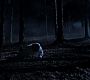Filename=112TeenWolf0061.jpg
Filesize=73KiB
Dimensions=1280x720
Date added=Aug 21, 2011 112TeenWolf0061.jpg