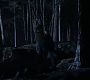 Filename=201TeenWolf1028.jpg
Filesize=71KiB
Dimensions=1280x720
Date added=Jun 10, 2012 201TeenWolf1028.jpg