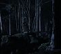 Filename=201TeenWolf1063.jpg
Filesize=78KiB
Dimensions=1280x720
Date added=Jun 10, 2012 201TeenWolf1063.jpg