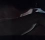 Filename=203TeenWolf1195.jpg
Filesize=45KiB
Dimensions=1280x720
Date added=Jun 16, 2012 203TeenWolf1195.jpg