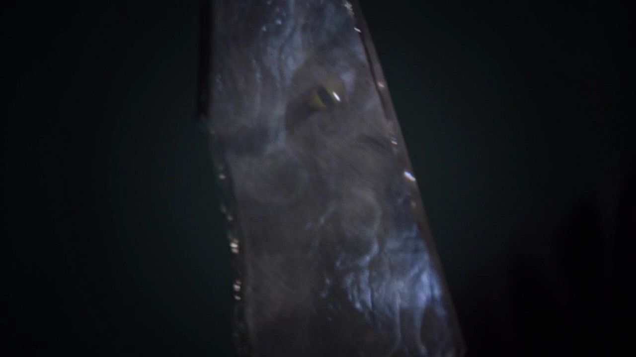 204TeenWolf1117.jpg