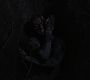 Filename=207TeenWolf1345.jpg
Filesize=47KiB
Dimensions=1280x720
Date added=Jul 13, 2012 207TeenWolf1345.jpg
