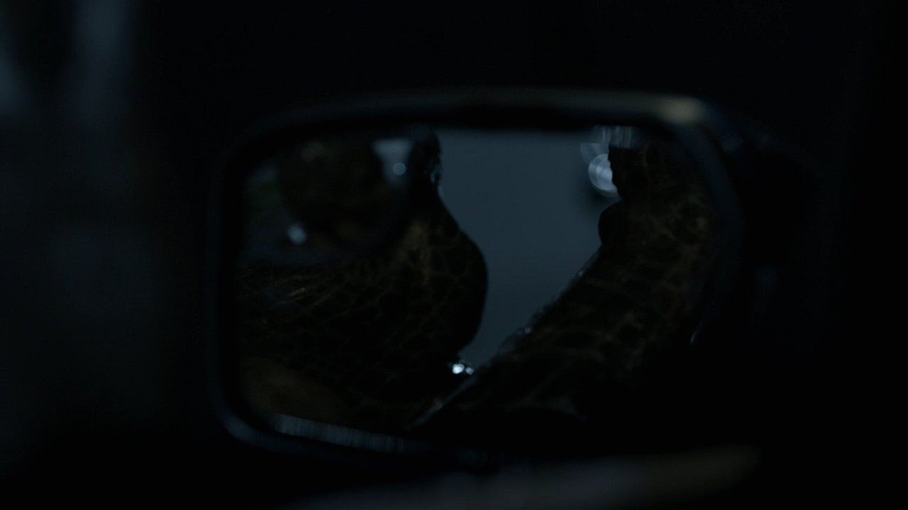 210TeenWolf0063.jpg