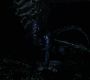Filename=210TeenWolf1267.jpg
Filesize=47KiB
Dimensions=1280x720
Date added=Aug 11, 2012 210TeenWolf1267.jpg