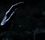 Filename=210TeenWolf1273.jpg
Filesize=48KiB
Dimensions=1280x720
Date added=Aug 11, 2012 210TeenWolf1273.jpg