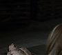 Filename=212TeenWolf1260.jpg
Filesize=51KiB
Dimensions=1280x720
Date added=Aug 15, 2012 212TeenWolf1260.jpg