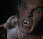 Filename=212TeenWolf1275.jpg
Filesize=56KiB
Dimensions=1280x720
Date added=Aug 15, 2012 212TeenWolf1275.jpg