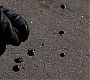 Filename=212TeenWolf1402.jpg
Filesize=121KiB
Dimensions=1280x720
Date added=Aug 15, 2012 212TeenWolf1402.jpg