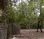 Filename=212TeenWolf1415.jpg
Filesize=252KiB
Dimensions=1280x720
Date added=Aug 15, 2012 212TeenWolf1415.jpg