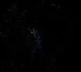 Filename=TW_0972.jpg
Filesize=58KiB
Dimensions=1916x1076
Date added=Jun 28, 2013 TW_0972.jpg