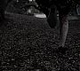 Filename=1193.jpg
Filesize=194KiB
Dimensions=1916x1076
Date added=Jul 06, 2018 1193.jpg