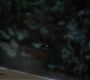 Filename=0285.jpg
Filesize=74KiB
Dimensions=1916x1076
Date added=Jul 06, 2018 0285.jpg