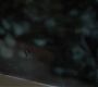 Filename=0286.jpg
Filesize=67KiB
Dimensions=1916x1076
Date added=Jul 06, 2018 0286.jpg