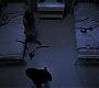 0960.jpg
