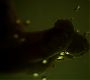 Filename=0277.jpg
Filesize=65KiB
Dimensions=1916x1076
Date added=Sep 07, 2015 0277.jpg