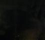 Filename=0295.jpg
Filesize=92KiB
Dimensions=1916x1076
Date added=Sep 07, 2015 0295.jpg