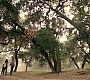 Filename=0250.jpg
Filesize=779KiB
Dimensions=1920x1080
Date added=Jun 22, 2018 0250.jpg
