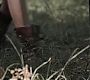 0260.jpg