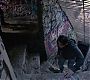 Filename=0361.jpg
Filesize=401KiB
Dimensions=1920x1080
Date added=Jun 22, 2018 0361.jpg