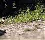 Filename=0573.jpg
Filesize=238KiB
Dimensions=1920x1080
Date added=Jun 22, 2018 0573.jpg