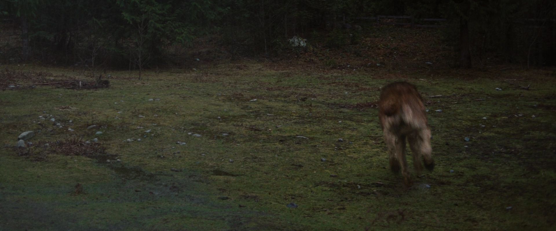 BreakingDawnPt1-0022.jpg