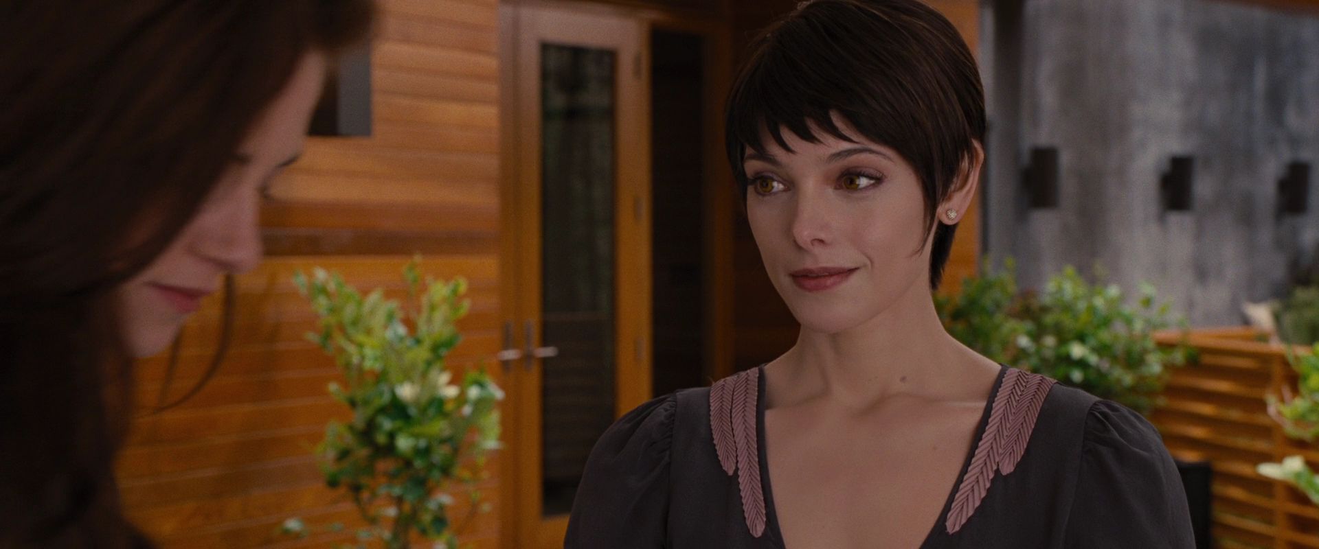 BreakingDawnPt1-0050.jpg