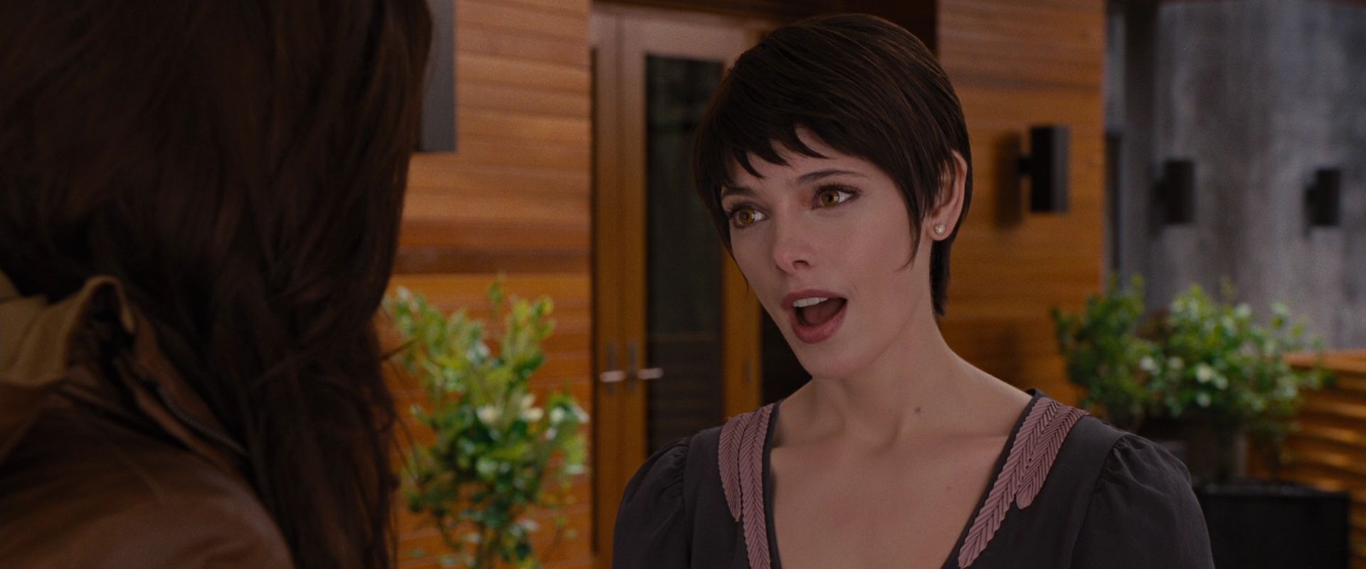 BreakingDawnPt1-0058.jpg