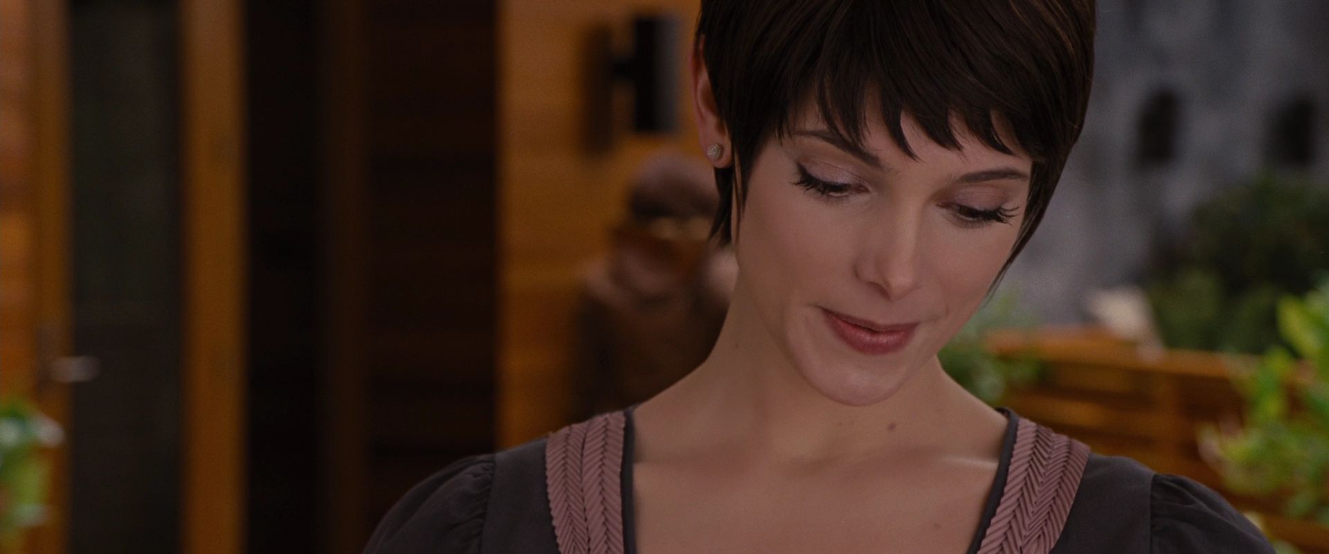 BreakingDawnPt1-0102.jpg