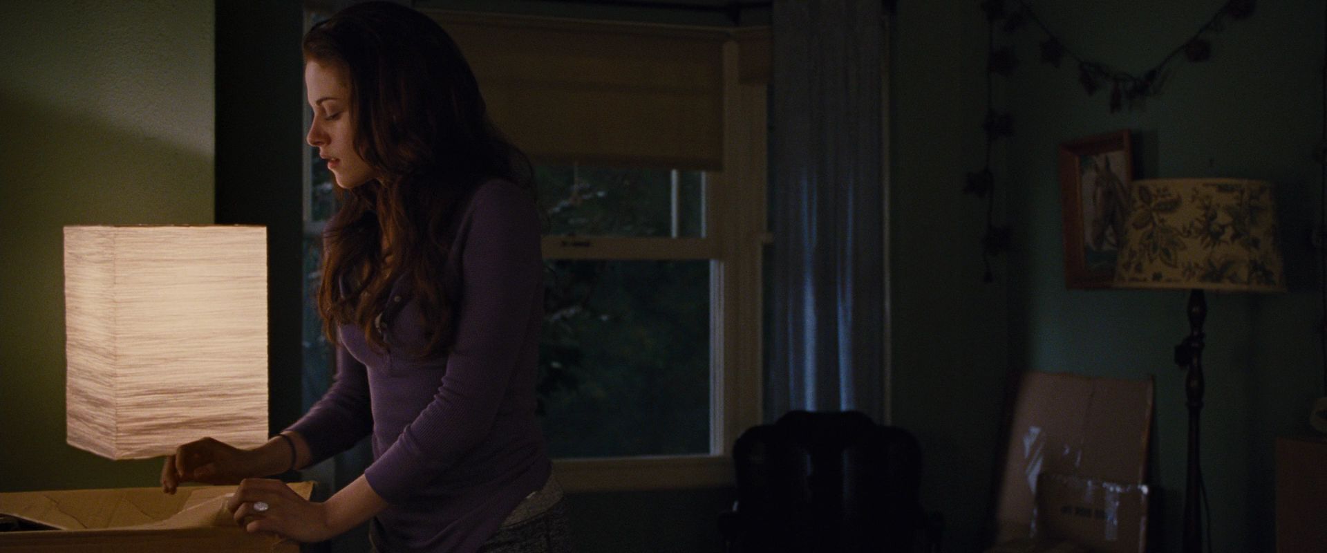 BreakingDawnPt1-0108.jpg