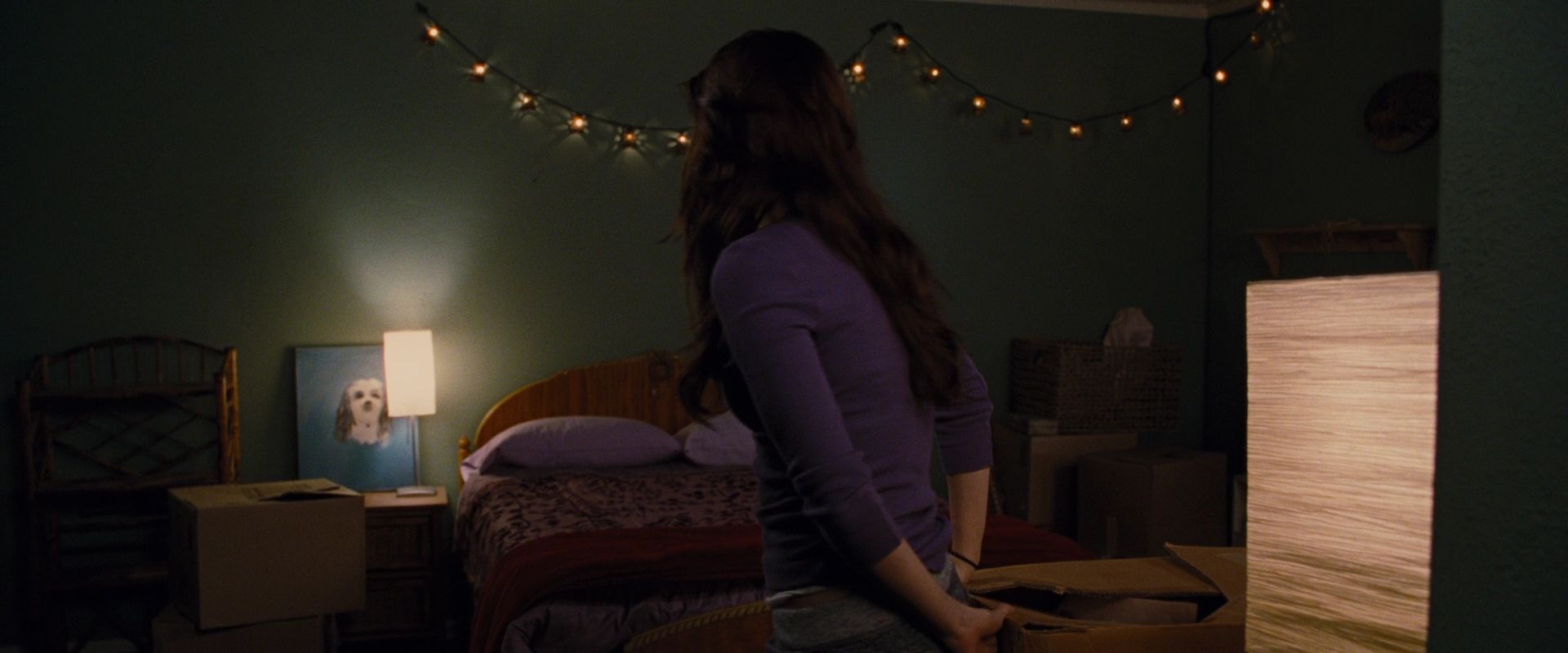 BreakingDawnPt1-0111.jpg
