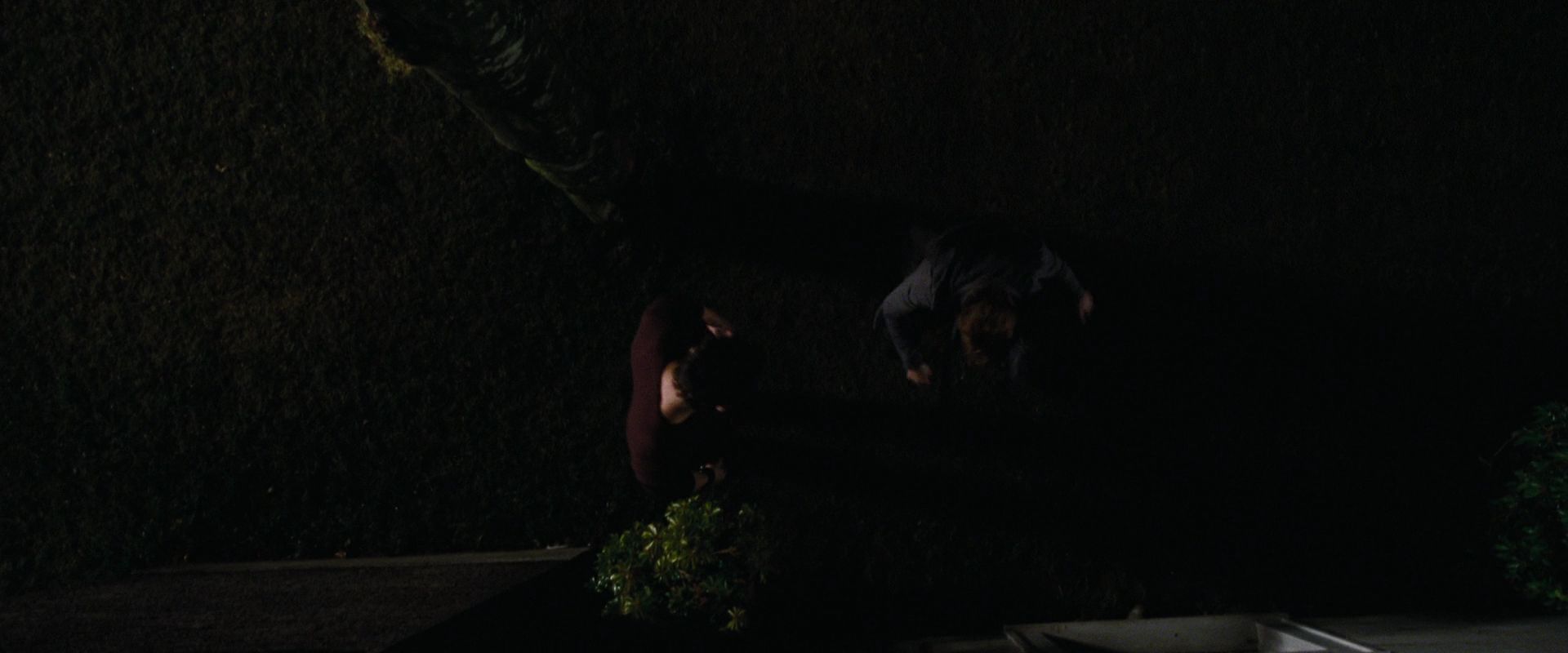BreakingDawnPt1-0265.jpg