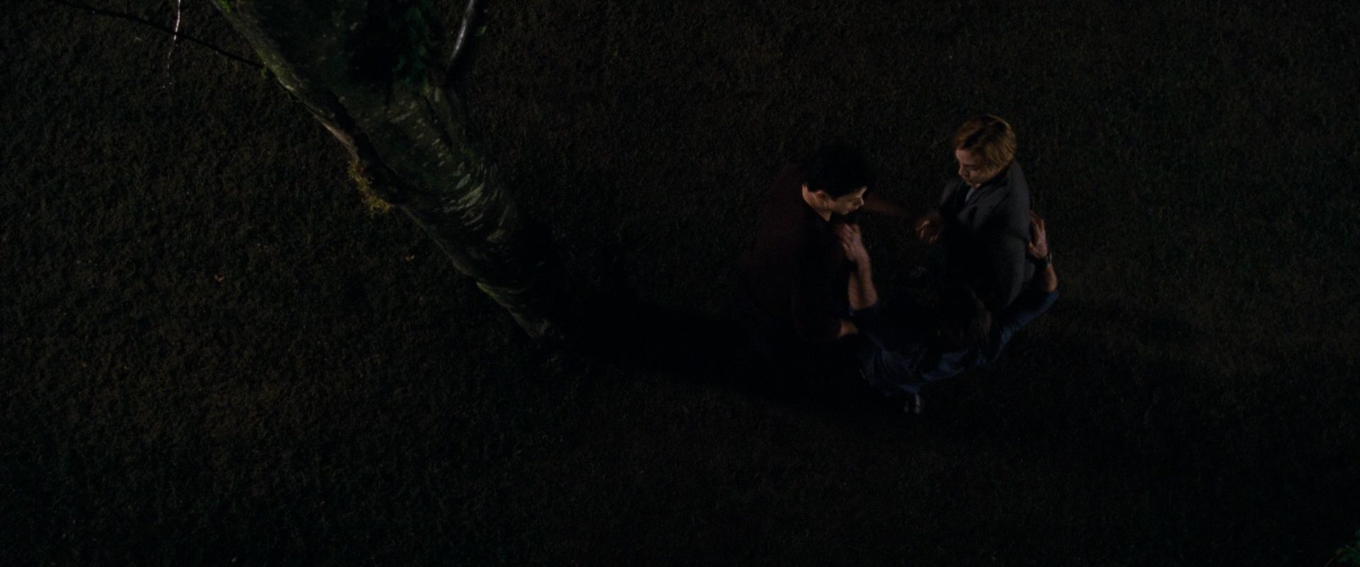 BreakingDawnPt1-0283.jpg