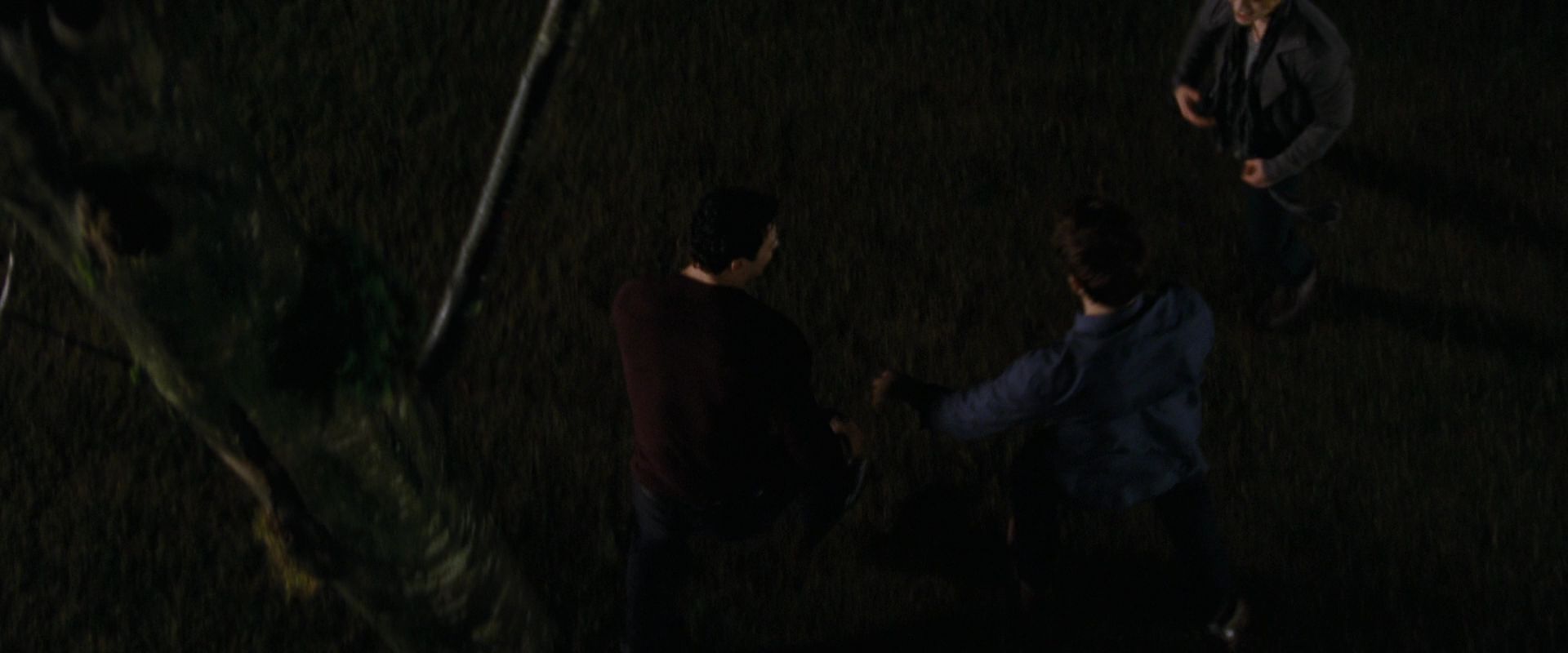 BreakingDawnPt1-0287.jpg