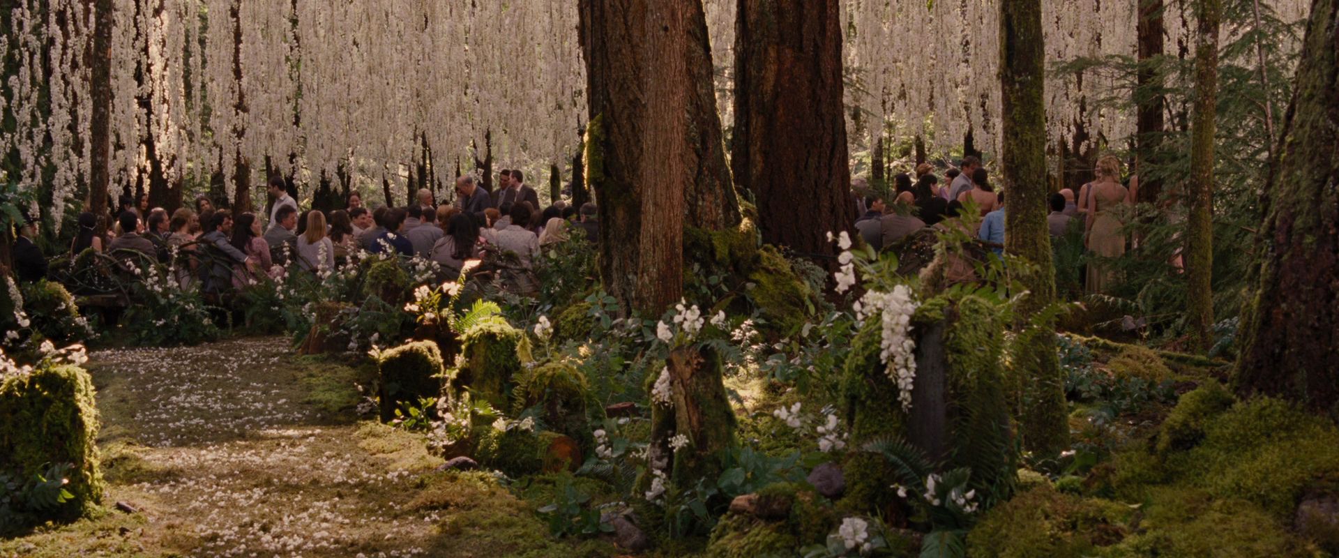 BreakingDawnPt1-0489.jpg