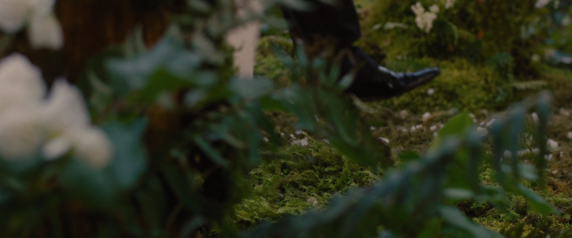 BreakingDawnPt1-0503.jpg