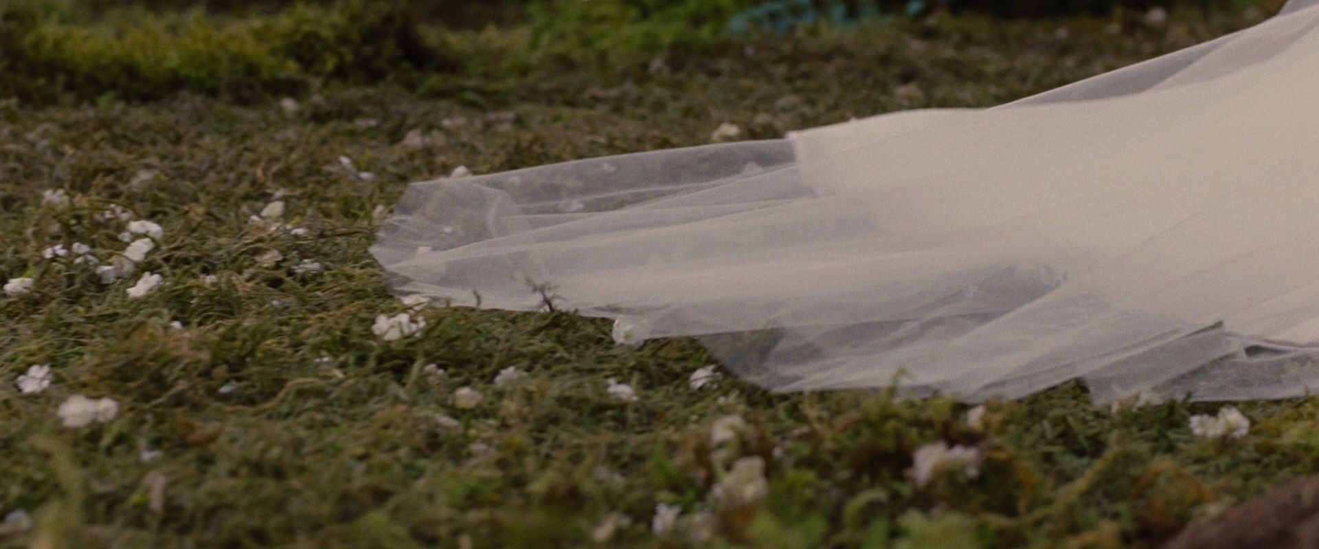 BreakingDawnPt1-0506.jpg