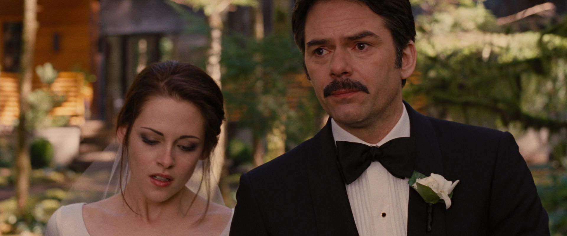BreakingDawnPt1-0531.jpg